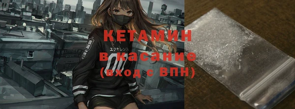 соль ск Дмитриев