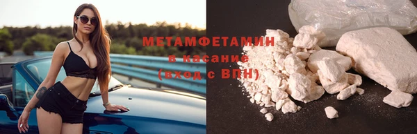 сатива Осинники