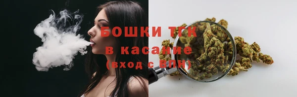 сатива Осинники