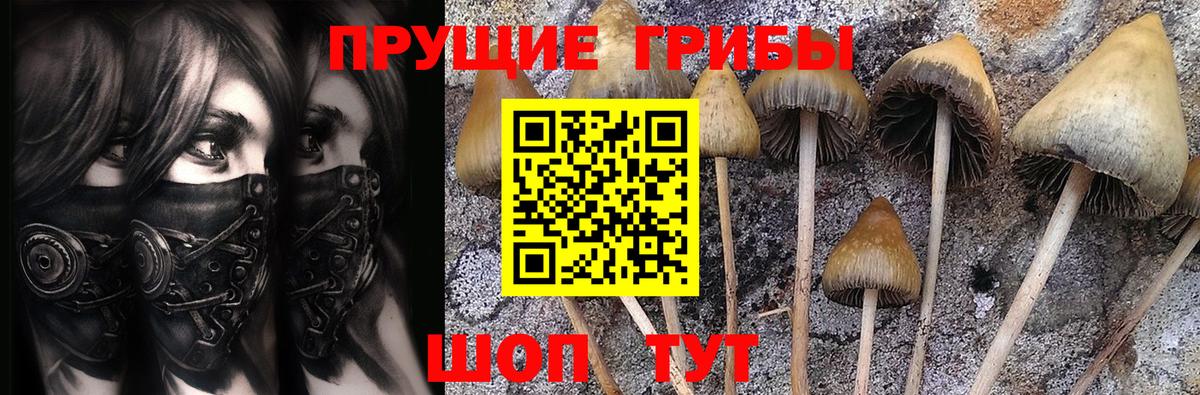 Галлюциногенные грибы мухоморы  Вход с VPN  Борисоглебск 